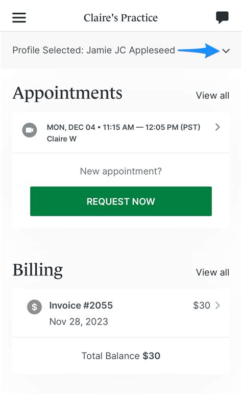 Simple Practice Client Portal Tutorial 的图像结果