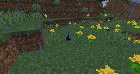 Image result for Minecraft Chaos Mod