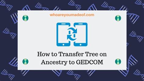 Image result for What Is a GEDCOM Tree