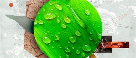 संयम क्या है? - लिग्निएर मिनिस्ट्रीज़