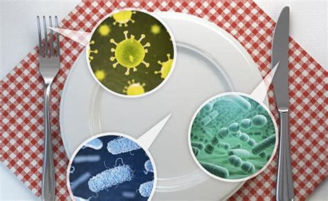 Food Poisoning को घर पर ही ठीक करने के लिए 5 Home Remedies, गर्मियों ...