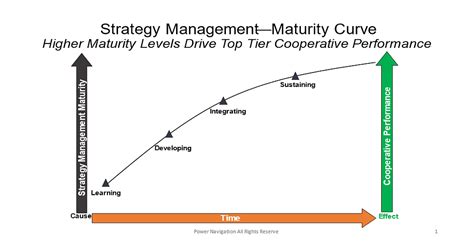 Image result for Strategy Evolution Maturity Model