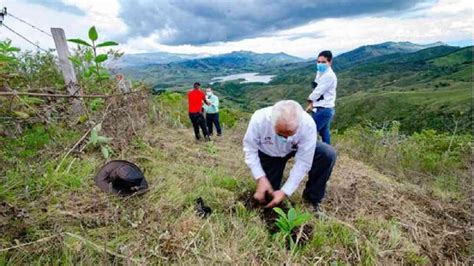 En el Valle sembraron 8.700 árboles nativos en cuencas hidrográficas ...