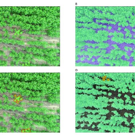 Image result for RGB Image Processing