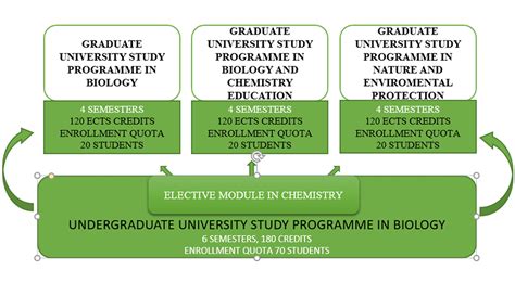 Program of Study Example 的图像结果