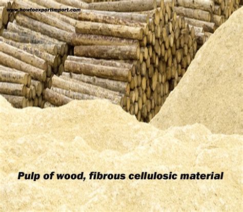 Procedures to export Pulp of wood, fibrous cellulosic material