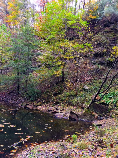 Broad Partnership Leads to 984 Acres Conserved in Coshocton County ...