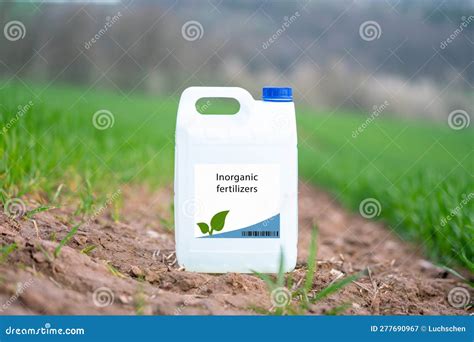 Inorganic Fertilizers Synthetic Fertilizers that Provide Essential Nutrients for Plant Growth ...