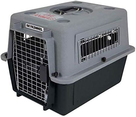 Petmate Sky Kennel Pet Carrier - 21 Inch : Amazon.in: Pet Supplies