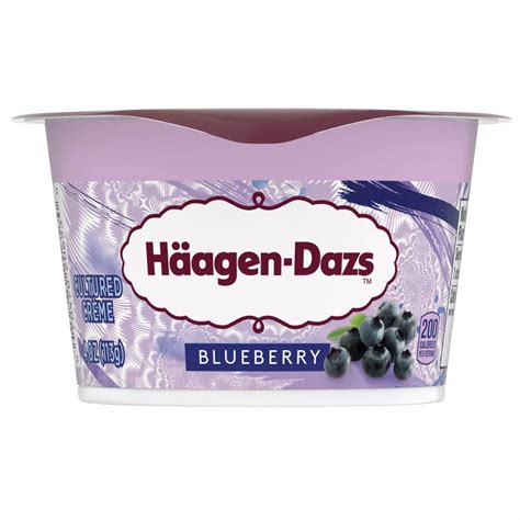 Haagen-Dazs Cultured Crème Yogurt Style Snack – Blueberry - Shop Yogurt ...