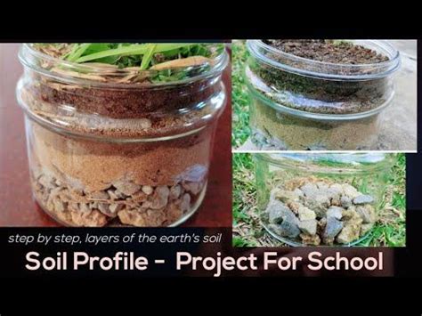 Soil Layers Science Project 的图像结果