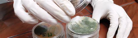 Image result for Jhon Mold Testing