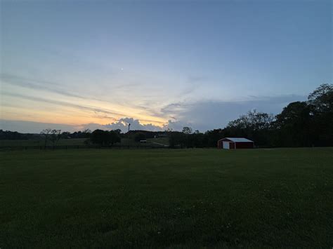 Volunteer — Mustard Seed Ranch