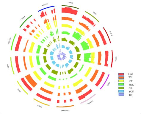 Image result for Copy Number Variation Genes