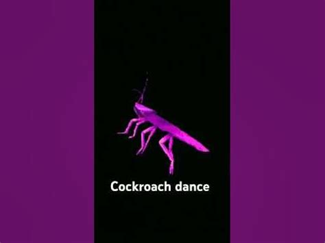 Cockroach Dance Challenge 的图像结果