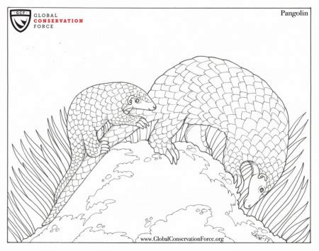 Image result for Pango Coloring Pages