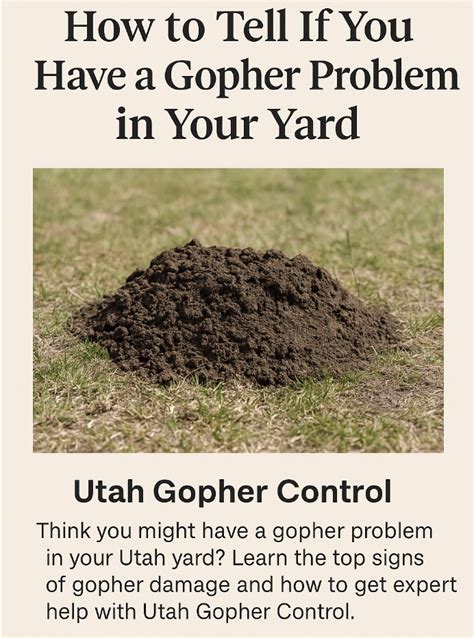 Image result for Gopher Problem