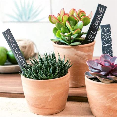 Buy GANAZONO 6pcs Slate Plant Labels Reusable Plant Tags Garden Markers ...