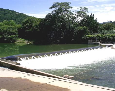 High-Quality Rubber Dam Solutions - Yooil India