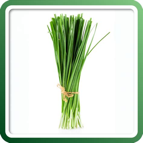 140 Four Season – Green World Genetics