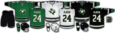 Dallas Stars Hockey 的图像结果