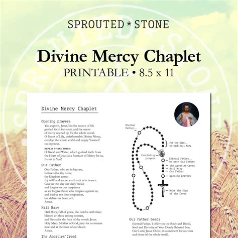 How to Pray the Divine Mercy Chaplet - Printable - Etsy