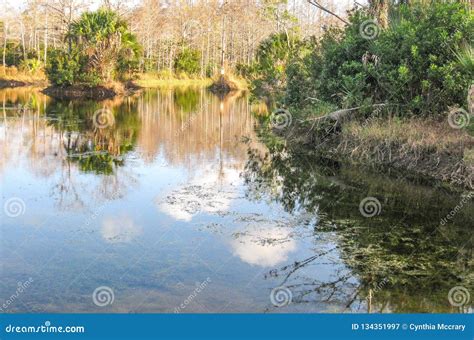 Riverbend Park in Jupiter, Florida Stock Image - Image of beach, park ...