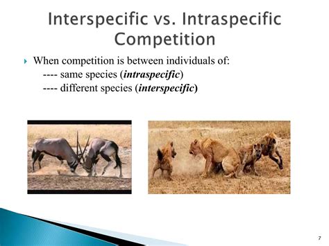 Species Interaction | PPTX