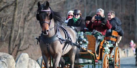 Holiday Carriage Rides @ Celtic Valley Farm, 28 Pilgrim Corners Road ...
