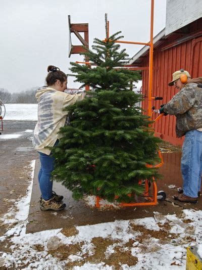 Image result for How to Build a Tree Farm