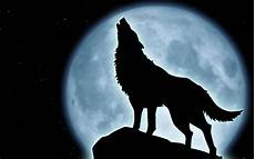Wolf Wallpaper Moon by Wolf Howling At The Moon Wallpaper 183 Wallpapertag Wolf Wallpaper Moon