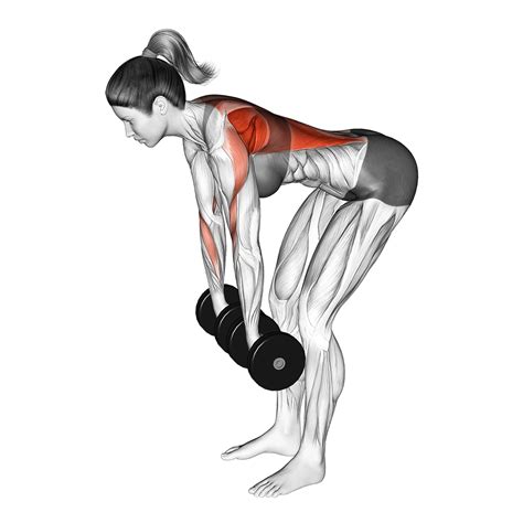 Dumbbell Upward Row