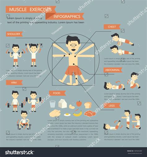 Muscle Excecise 的图像结果