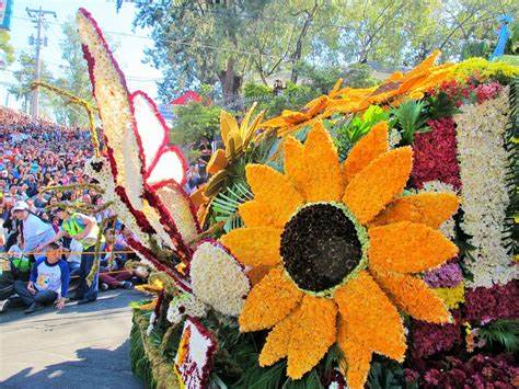 Panagbenga Festival Flowers