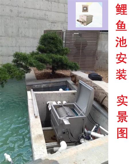 鱼池过滤器水循环净化系统设备室外净水装置户外庭院不锈钢过滤箱-淘宝网