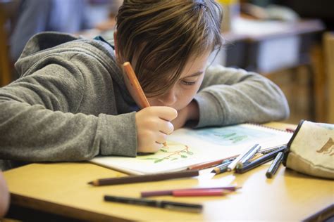 Grade School — Chicago Waldorf School