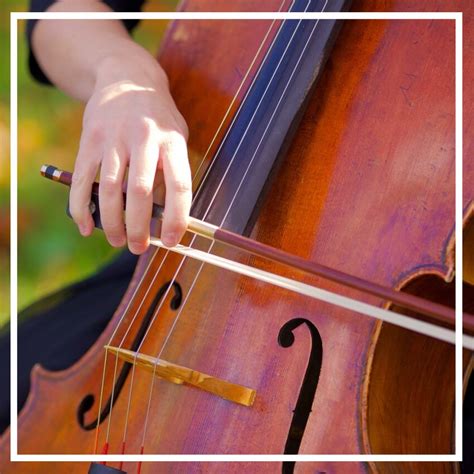 Image result for String Combo Music