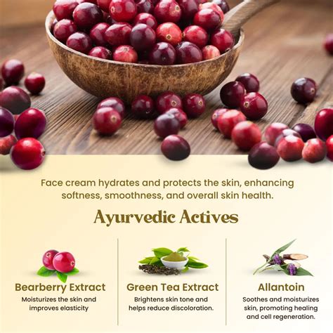 POKONUT Skin Trio: Natural, Effective Care|Shop Now – Pokonut