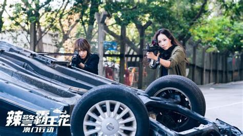 辣警霸王花 Special Female Force | Movie posters design, Movie posters, Hong ...