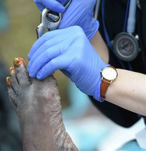 Image result for Foot Washing Service Home