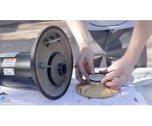 Image result for Replace Motor On Sta-Rite Pool Pump