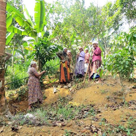 Image result for Self-Help Group Project