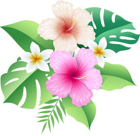 Yellow Hibiscus Clipart