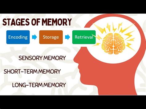 Memory Encoding Method 的图像结果