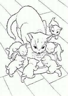 ausmalbilder junge katzen ausmalbilder malvorlagen katze 13 ausmalbilder malvorlagen ausmalbilder junge katzen ausmalbilder malvorlagen katze 13 ausmalbilder malvorlagen