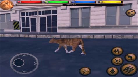 Image result for Ultimate Cat Simulator Tips