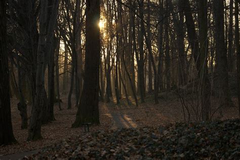 Luban Tourism (2023): Best of Luban, Poland - Tripadvisor