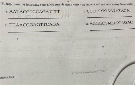 Image result for Complementary Strand