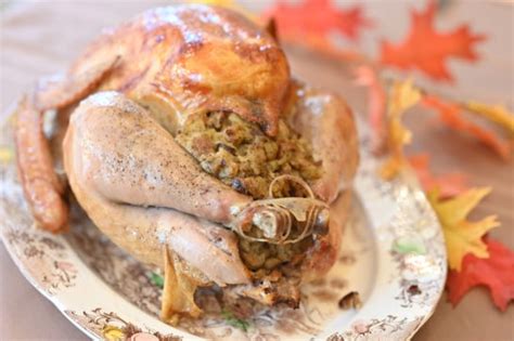Image result for Stuffed Turkey Tutorial