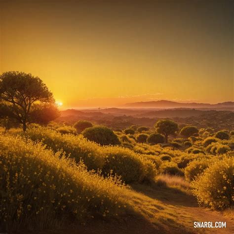 Golden brown: What is Golden brown color? Meaning, Examples & More